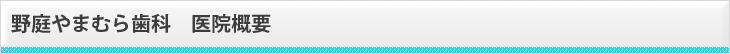 野庭やまむら歯科 医院概要
